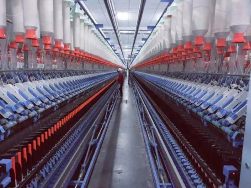 Analysis of Entrepreneurial Opportunities and Advantages in the Webbing Factory Industry in 2025