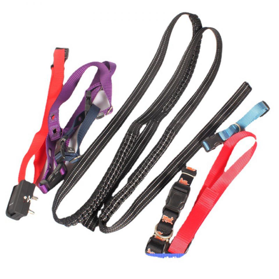 Pet leash