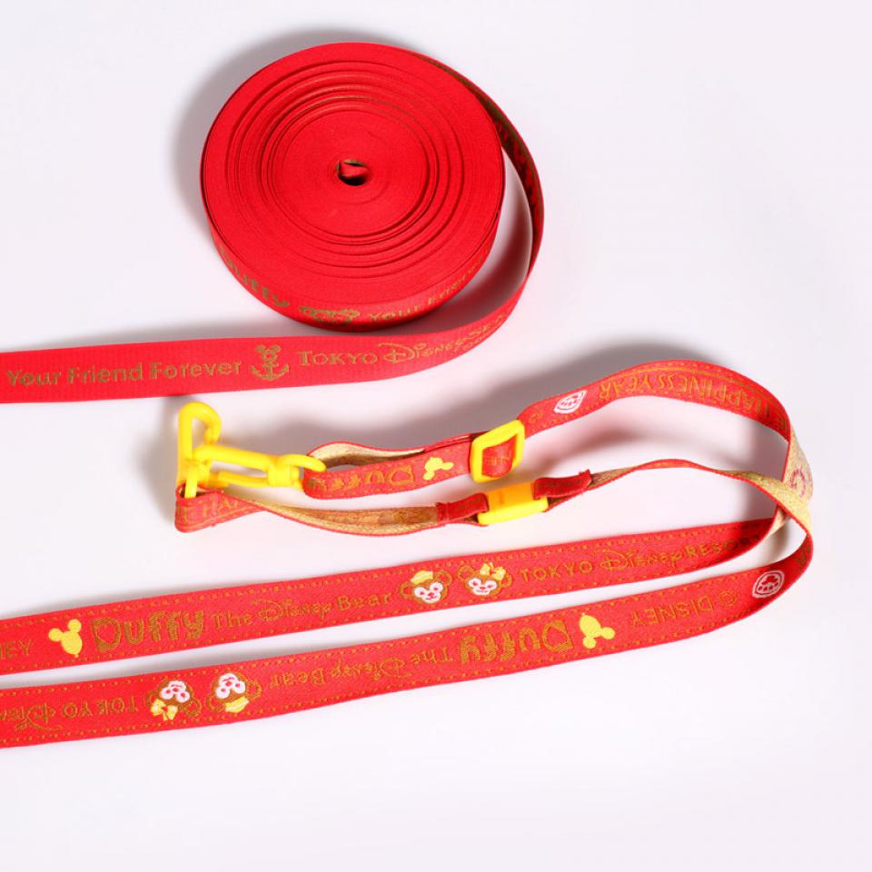 Pet leash